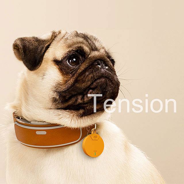 創意產品設計案例——Tension狗狗GPS定位器